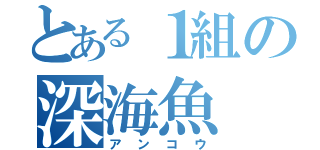 とある１組の深海魚（アンコウ）