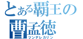 とある覇王の曹孟徳（ツンデレカリン）