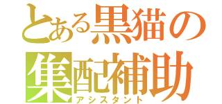 とある黒猫の集配補助（アシスタント）