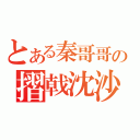 とある秦哥哥の摺戟沈沙（）