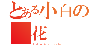 とある小白の煙花計劃（Ｓｍａｌｌ Ｗｈｉｔｅ'ｓ ｆｉｒｅｗｏｒｋｓ）