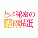 とある秘密の幾個混蛋（秘密基地）