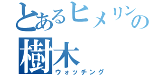 とあるヒメリンゴの樹木（ウォッチング）