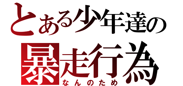 とある少年達の暴走行為（なんのため）