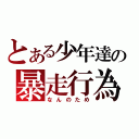 とある少年達の暴走行為（なんのため）