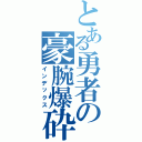 とある勇者の豪腕爆砕（インデックス）