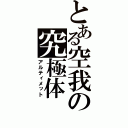 とある空我の究極体（アルティメット）