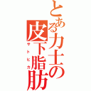 とある力士の皮下脂肪　（サトヒカ）