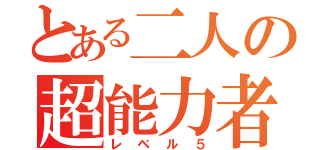 とある二人の超能力者（レベル５）