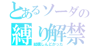 とあるソーダの縛り解禁（結構しんどかった）