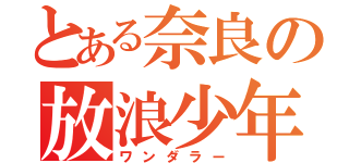 とある奈良の放浪少年（ワンダラー）