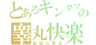 とあるキンタマの睾丸快楽（絶頂の両玉）