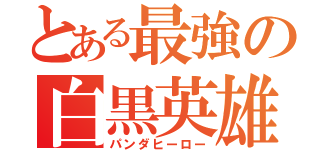 とある最強の白黒英雄（パンダヒーロー）