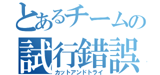 とあるチームの試行錯誤（カットアンドトライ）