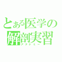 とある医学の解剖実習（アナトミー）