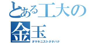 とある工大の金玉（タマキニストタチバナ）