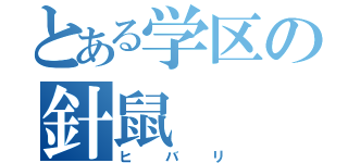 とある学区の針鼠（ヒバリ）