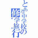 とある中学校の修学旅行（東京）