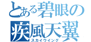 とある碧眼の疾風天翼（スカイウイング）