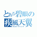 とある碧眼の疾風天翼（スカイウイング）