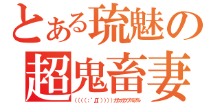 とある琉魅の超鬼畜妻（（（（（；゜Д゜））））ガクガクブルブル）