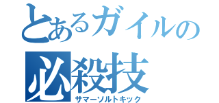 とあるガイルの必殺技（サマーソルトキック）