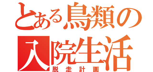 とある鳥類の入院生活　（脱走計画）