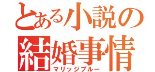 とある小説の結婚事情（マリッジブルー）