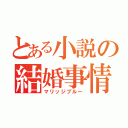 とある小説の結婚事情（マリッジブルー）