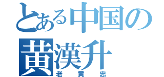 とある中国の黄漢升（老黄忠）