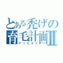 とある禿げの育毛計画Ⅱ（やったるで）