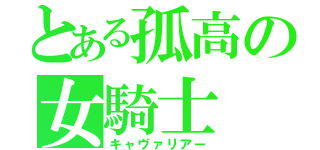 とある孤高の女騎士（キャヴァリアー）