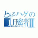 とあるハゲの１日密着Ⅱ（誰も見ないな）