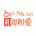 とあるＳ＆Ａの相思相愛（バカップル）