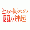 とある栃木の東方神起オタ（サランヘヨ）