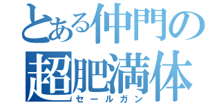 とある仲門の超肥満体（セールガン）