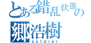 とある錯乱状態の郷浩樹（ｓｏｌｄｉｅｒ）