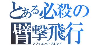 とある必殺の臂撃飛行（アジャコング・スレッド）