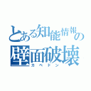 とある知能情報の壁面破壊（カベドン）