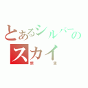 とあるシルバーのスカイ（銀空）