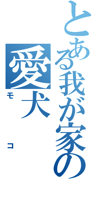 とある我が家の愛犬（モコ）