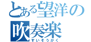 とある望洋の吹奏楽（すいそうがく）