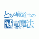 とある魔道士の滅竜魔法（ドラゴンスレイヤー）