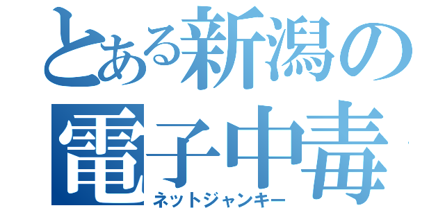 とある新潟の電子中毒（ネットジャンキー）