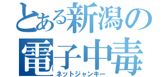 とある新潟の電子中毒（ネットジャンキー）