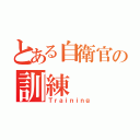 とある自衛官の訓練（Ｔｒａｉｎｉｎｇ）