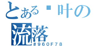 とある枫叶の流落（＃９６０Ｆ７８）