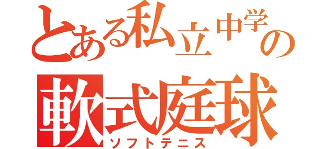 とある私立中学の軟式庭球部（ソフトテニス）