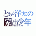 とある洋太の家出少年（ナイトカーニバル）