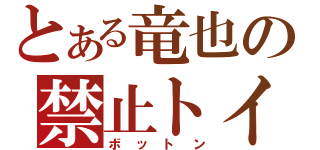 とある竜也の禁止トイレ（ボットン）